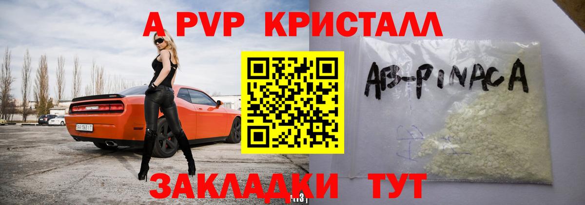 Альфа ПВП СК КРИС Геленджик