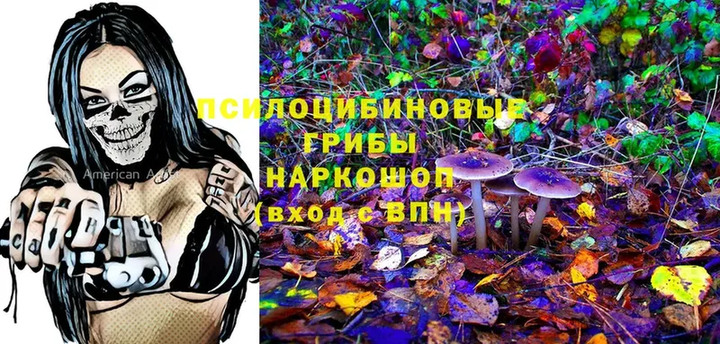 Псилоцибиновые грибы мицелий  Геленджик 