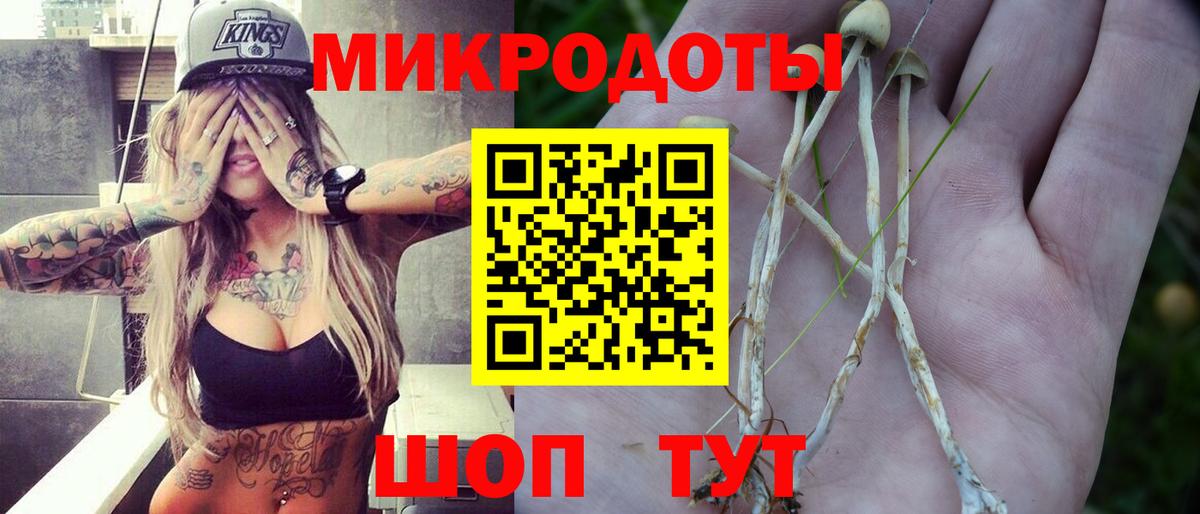 Галлюциногенные грибы прущие грибы  Вход с VPN  Геленджик 